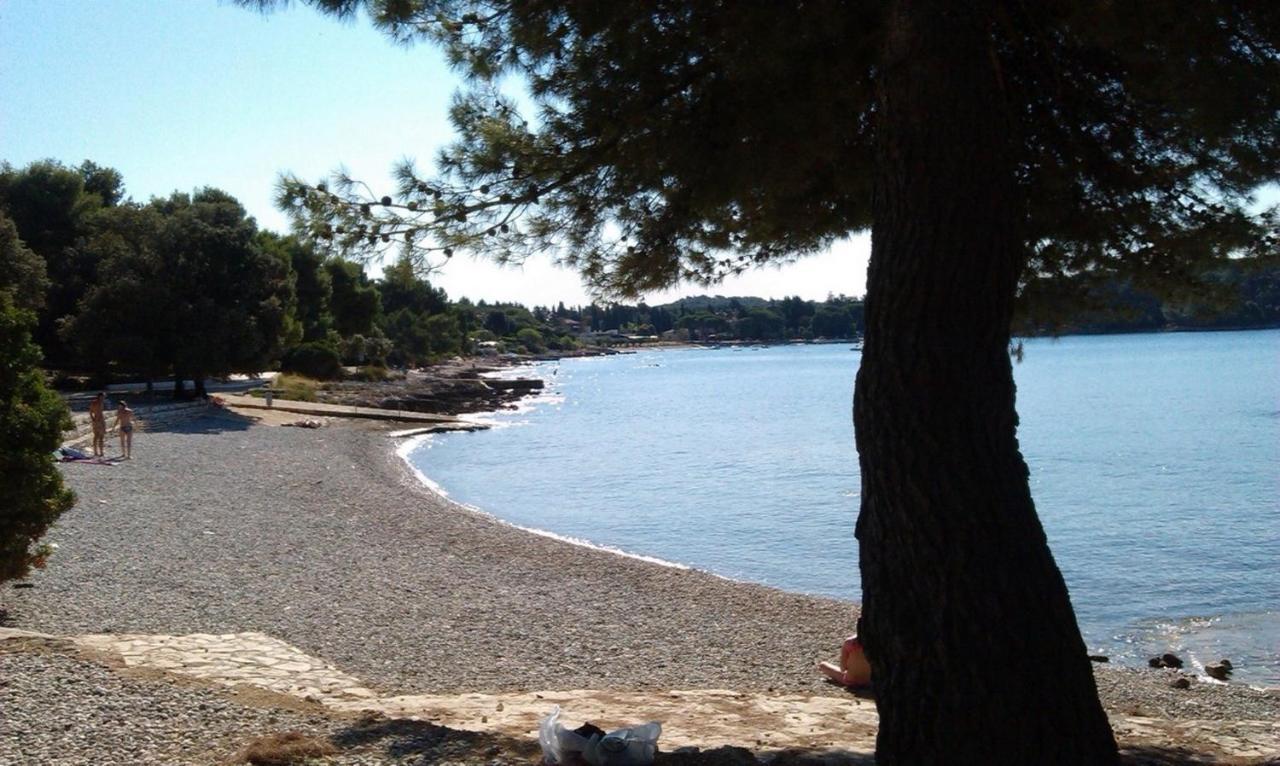 Apartment Buena Vista Borik Rovinj